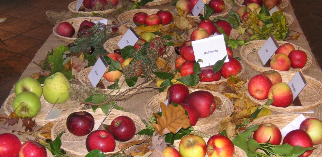 20. Obsttag im Wildpark Pforzheim